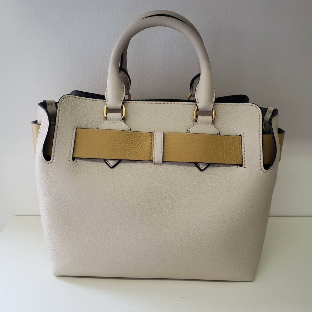 Burberry Small Marais Belt Bag - Beige with Yellow - Picture 3 of 8